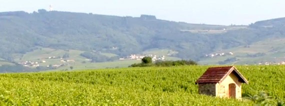 Découvrez le Beaujolais