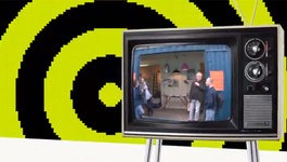 Puces du canal TV